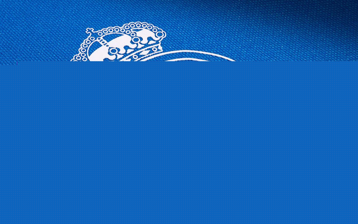 双冠军赛